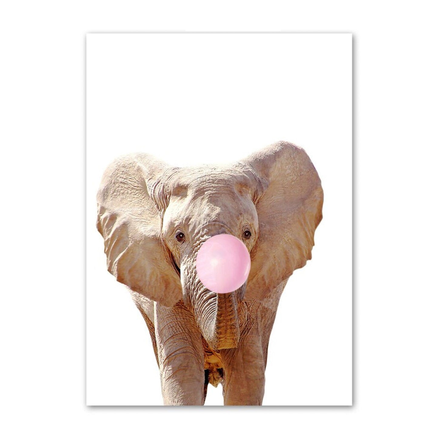 Poster Kinder Tiere mit rosa Kaugummi Panda Eule Alpaka Elefant Koala und Affe als Deko Print ohne Rahmen