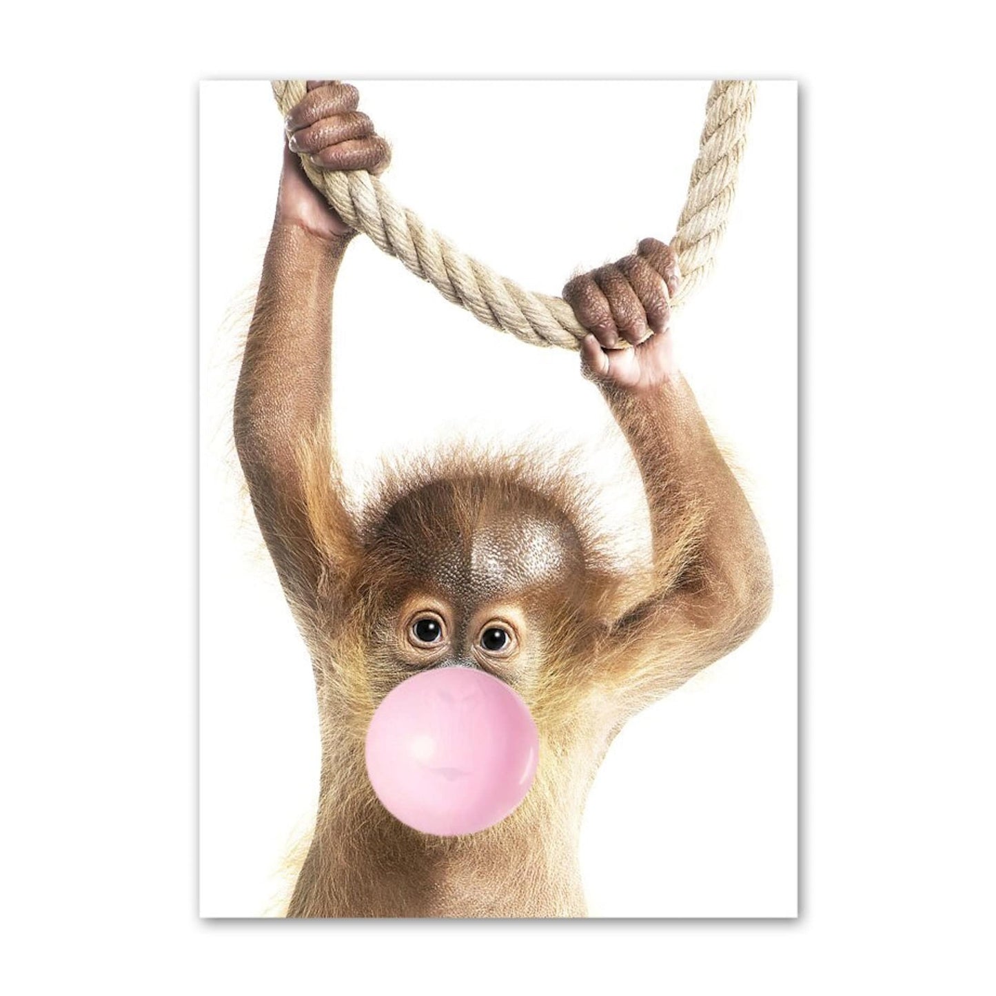 Poster Kinder Tiere mit rosa Kaugummi Panda Eule Alpaka Elefant Koala und Affe als Deko Print ohne Rahmen