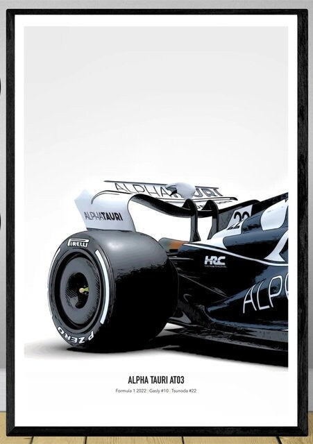 Poster Formel 1 Rennwagen Grand Prix Rennfahrer Namen Wagen Nummer I  Deko Print ohne Rahmen